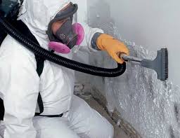 Mold Remediation for Rental Properties in Pine Mountain Lake, CA